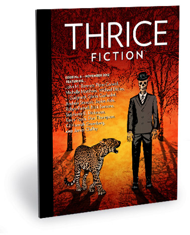 Thrice Fiction Magazine No. 6