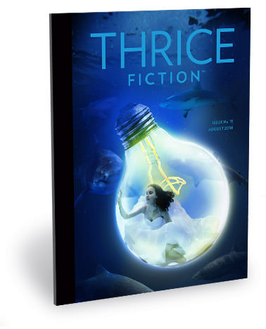 Thrice Fiction Magazine No. 11