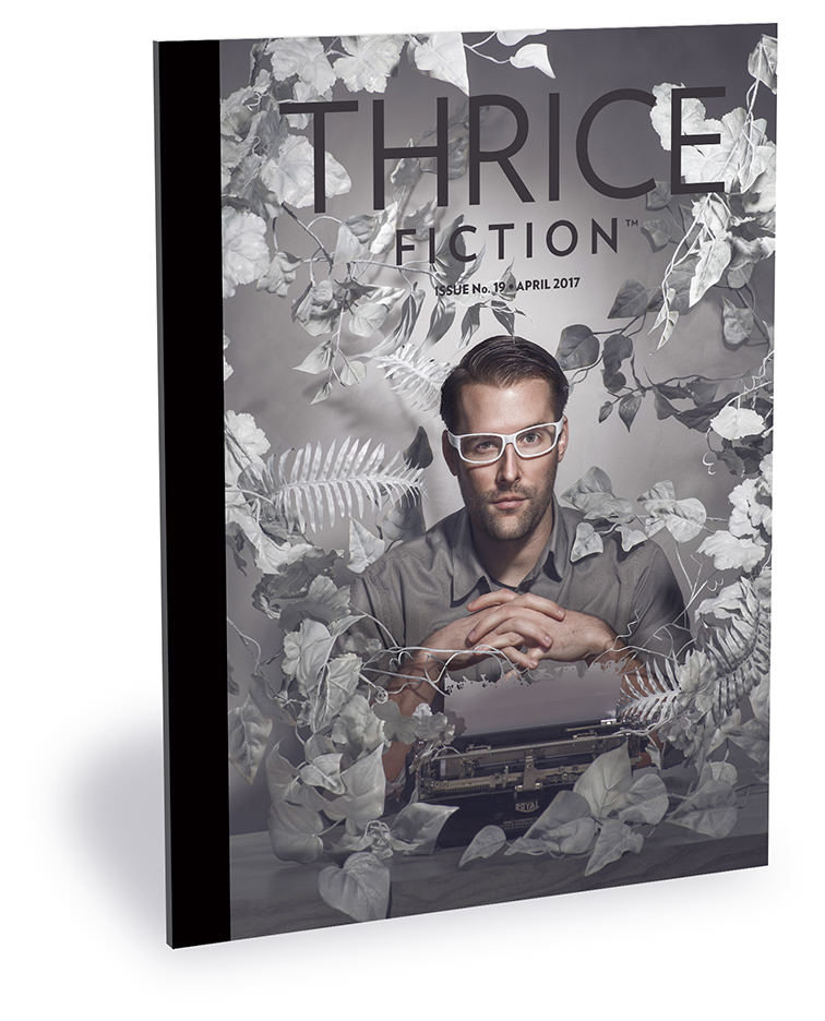 Thrice Fiction Magazine No. 19