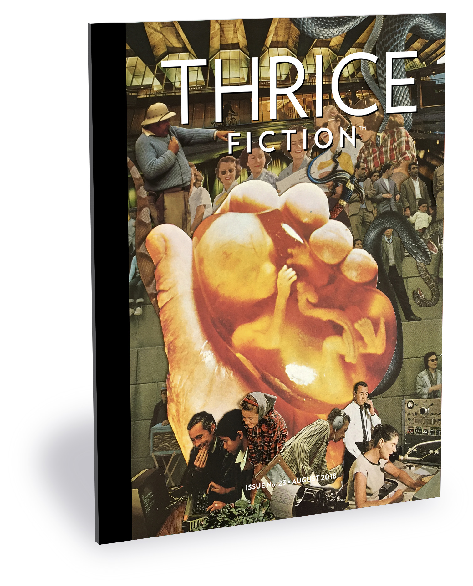 Thrice Fiction Magazine No. 23