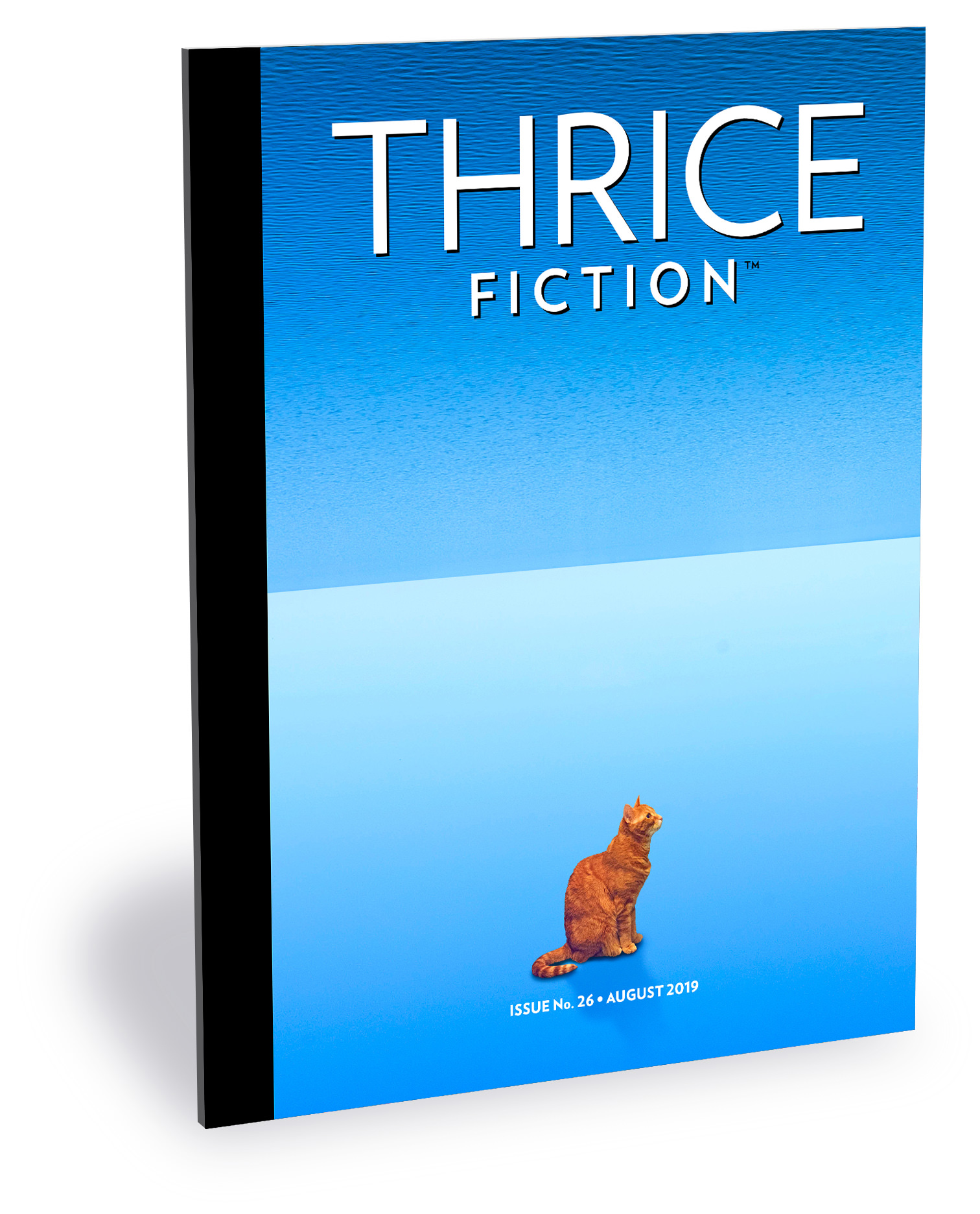 Thrice Fiction Magazine No. 23